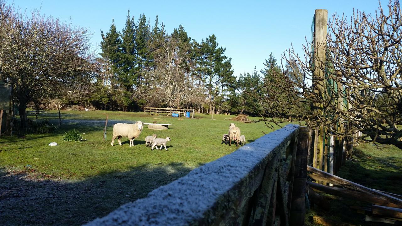 Woodbury Farm Bed & Breakfast Takanini Bagian luar foto