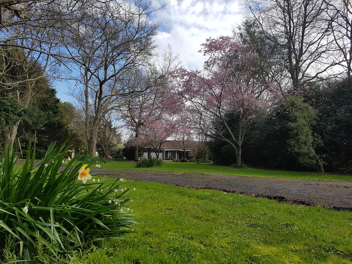 Woodbury Farm Bed & Breakfast Takanini Bagian luar foto
